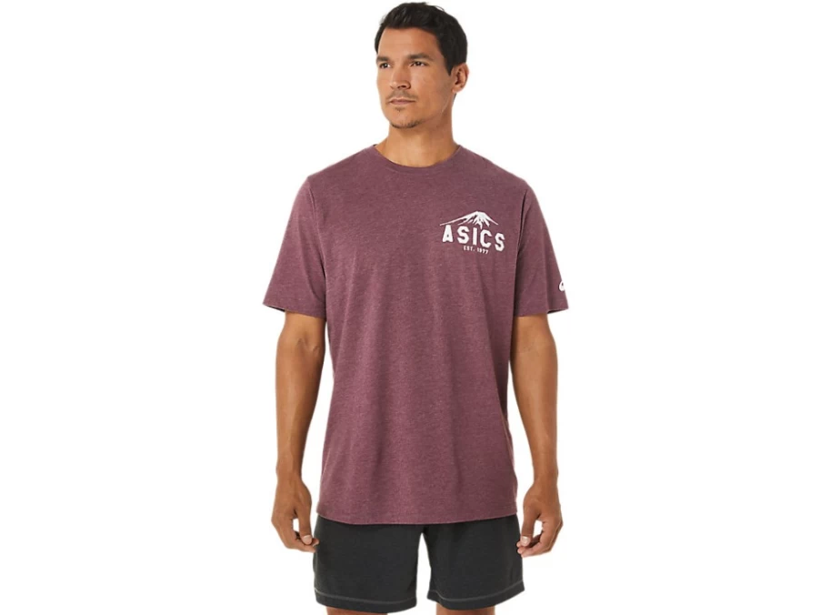 ASICS Unisex Deep Mars Heather Fuji 1977 Vintage T-Shirt